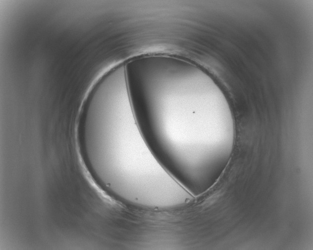 X0000065230991200602170923