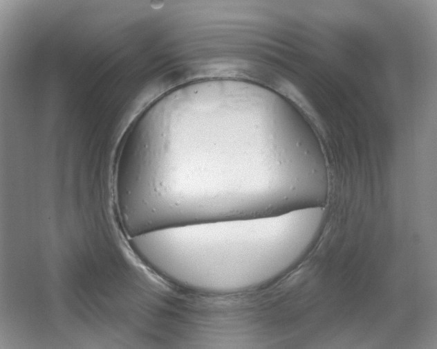 X0000065230994200602170923