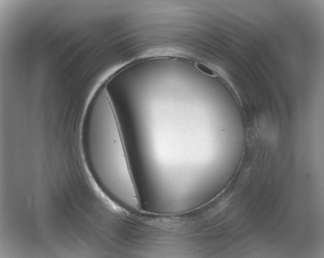 X0000065230995200602170923