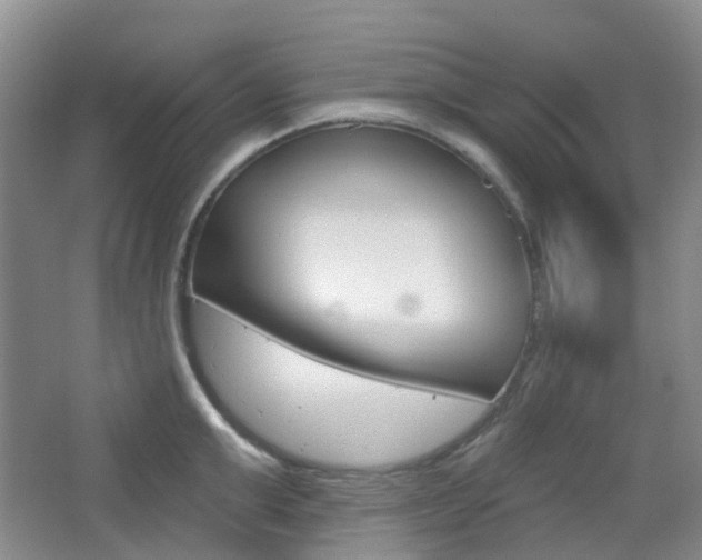 X0000065230999200602170923