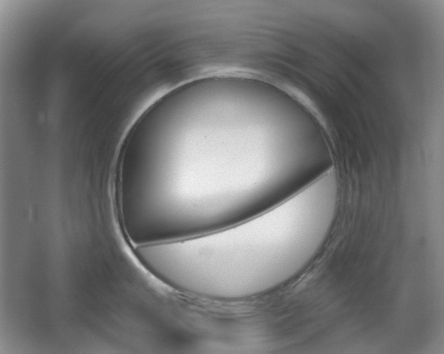 X0000065231007200602170923