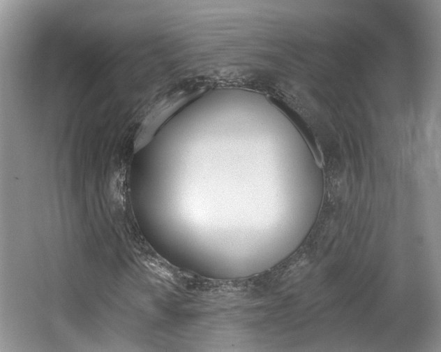 X0000065231010200602170922