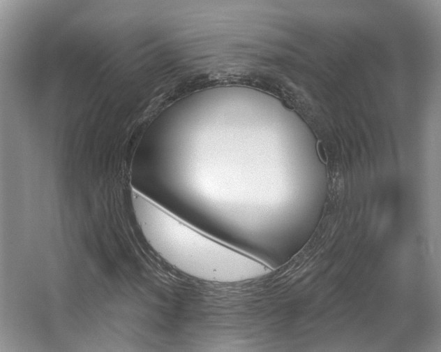 X0000065231012200602170922