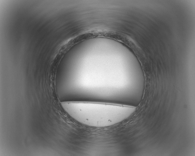 X0000065231016200602170922