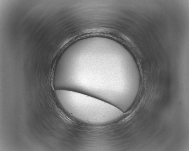 X0000065231017200602170922