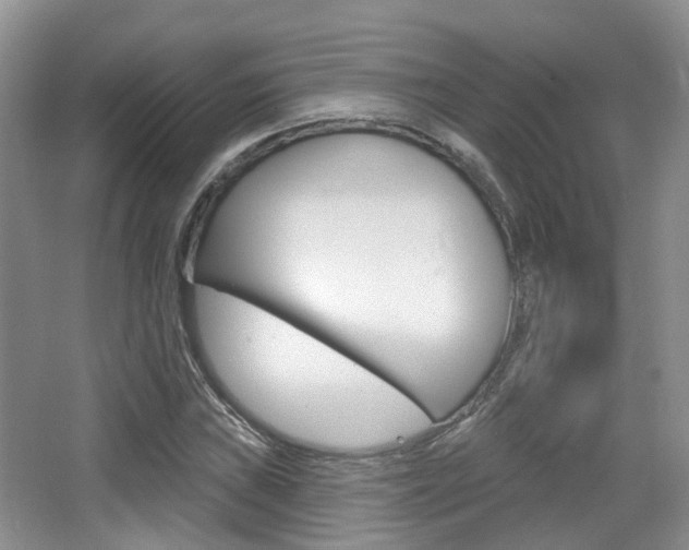 X0000065231019200602170922