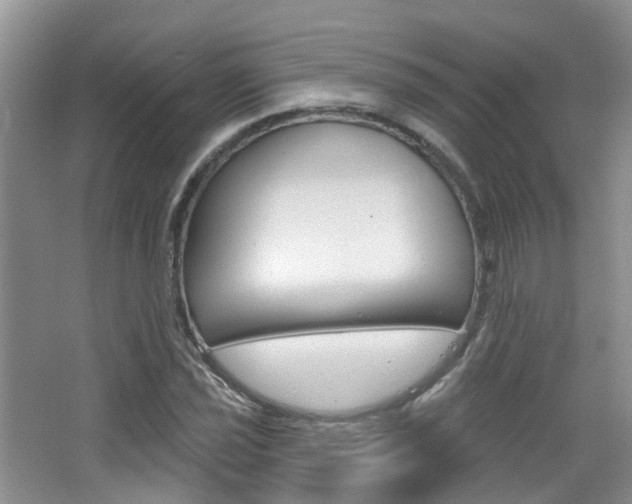 X0000065231021200602170922