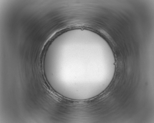 X0000065231023200602170922