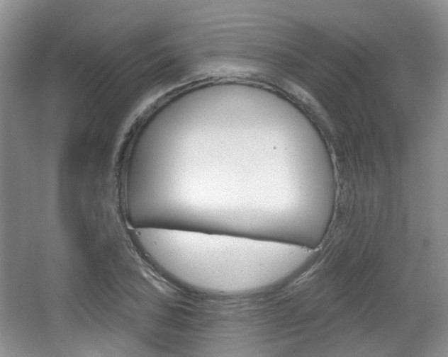 X0000065231027200602170922