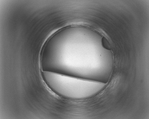 X0000065231036200602170923