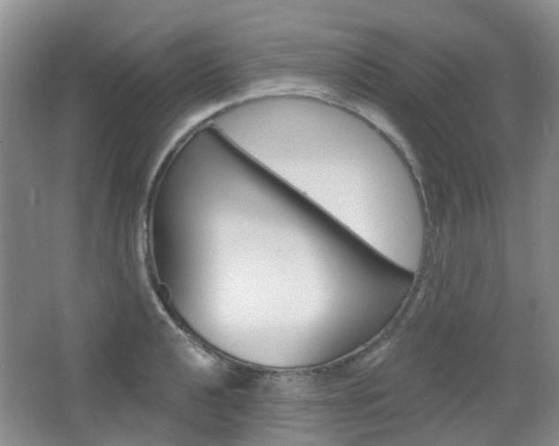 X0000065231040200602170923