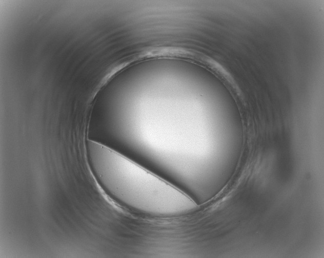 X0000065231041200602170923