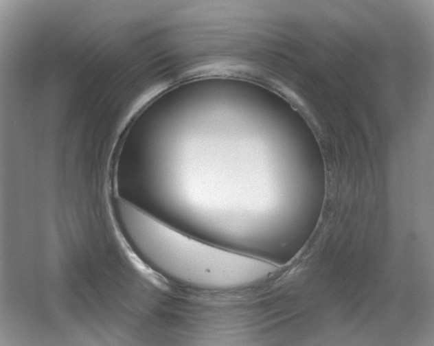 X0000065231042200602170923