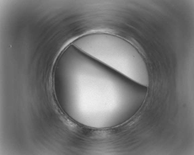 X0000065231044200602170923