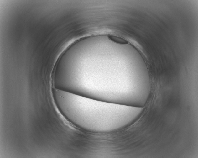 X0000065231047200602170923