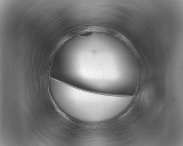 X0000065231049200602170923