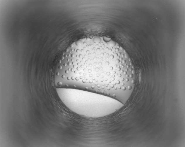 X0000065231059200602170922