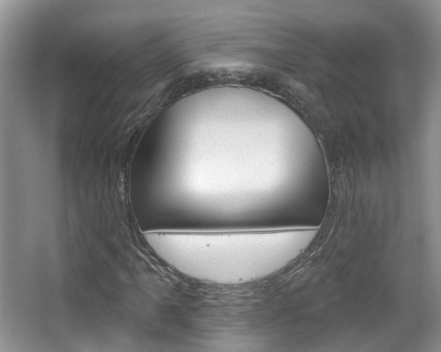 X0000065231061200602170922