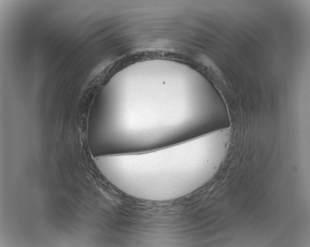X0000065231064200602170922