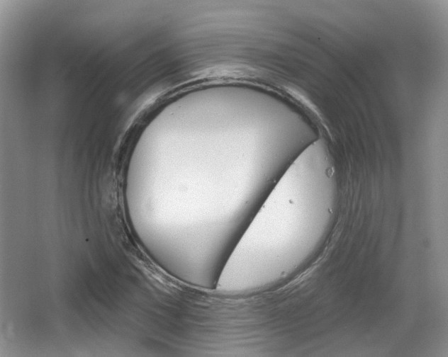 X0000065231067200602170922