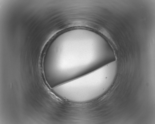 X0000065231068200602170922