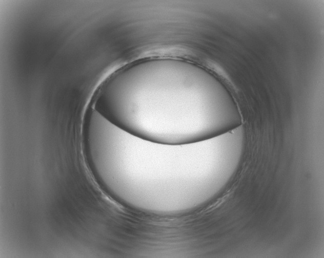 X0000065231079200602170922