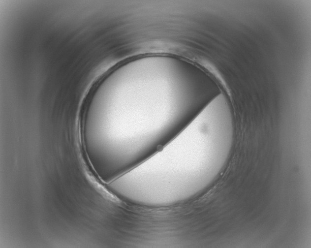 X0000065231080200602170922