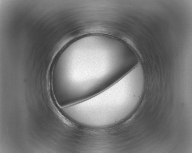 X0000065231082200602170922