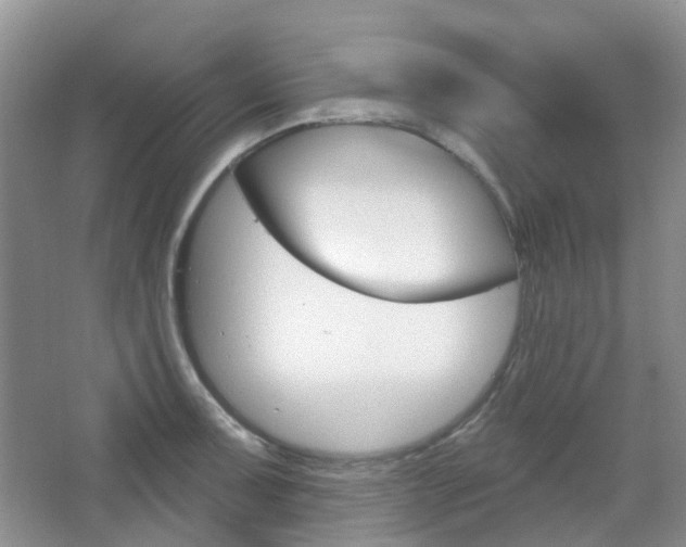 X0000065231091200602170922