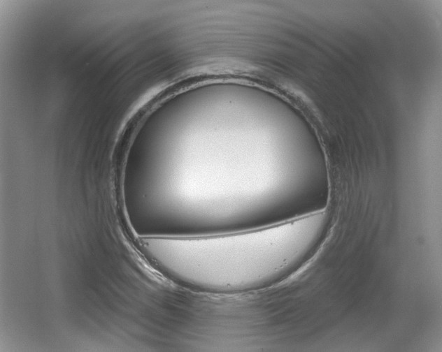 X0000065231114200602170921