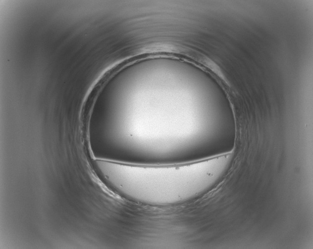 X0000065231116200602170921