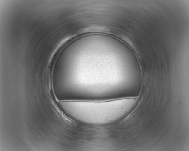 X0000065231123200602170921