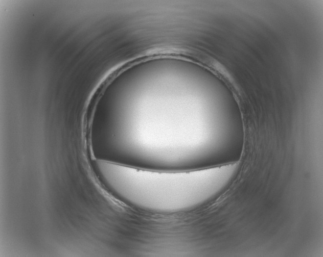 X0000065231124200602170921