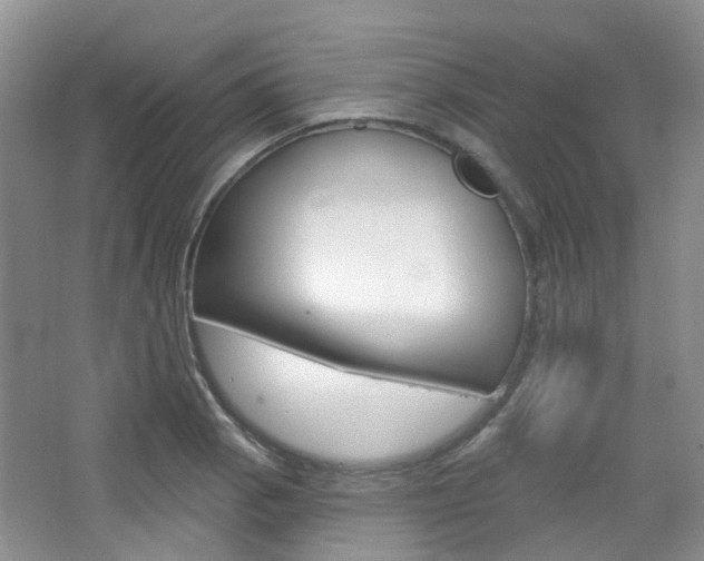X0000065231129200602170921