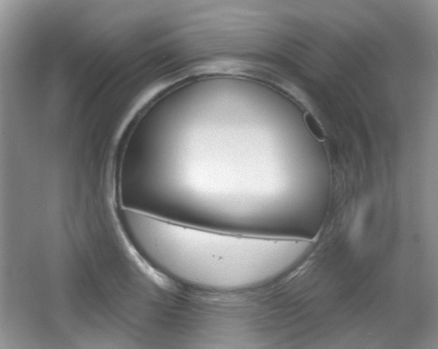 X0000065231131200602170921