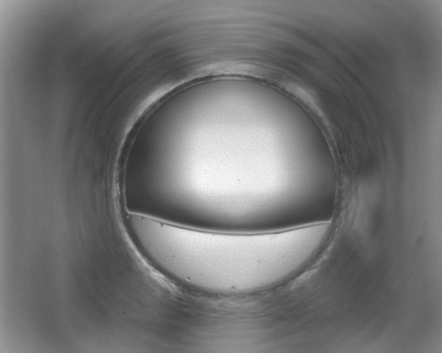 X0000065231133200602170921