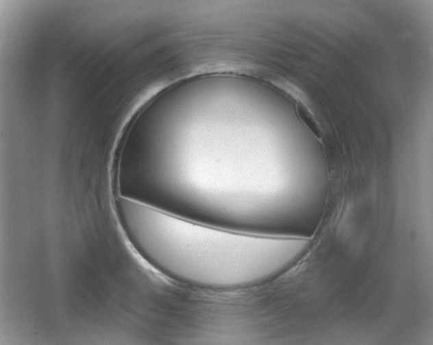 X0000065231135200602170921