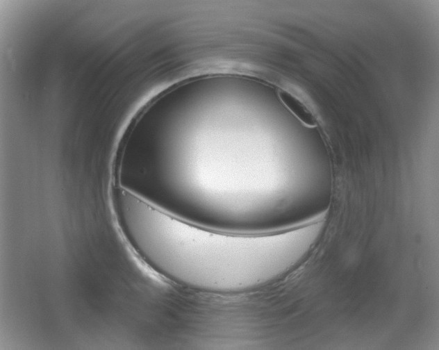 X0000065231136200602170921