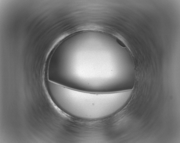X0000065231139200602170921