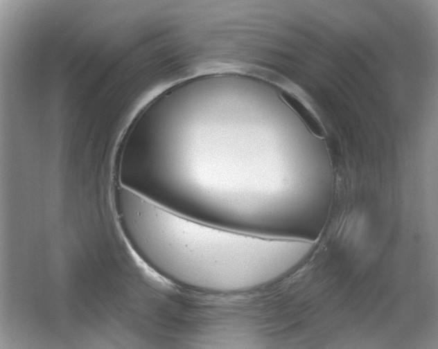 X0000065231143200602170921