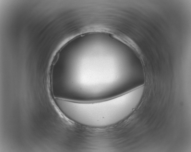 X0000065231144200602170921