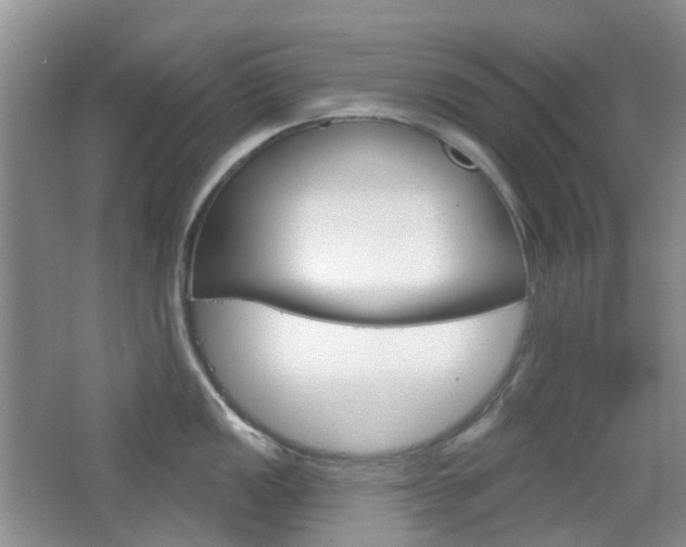 X0000065231149200602170921