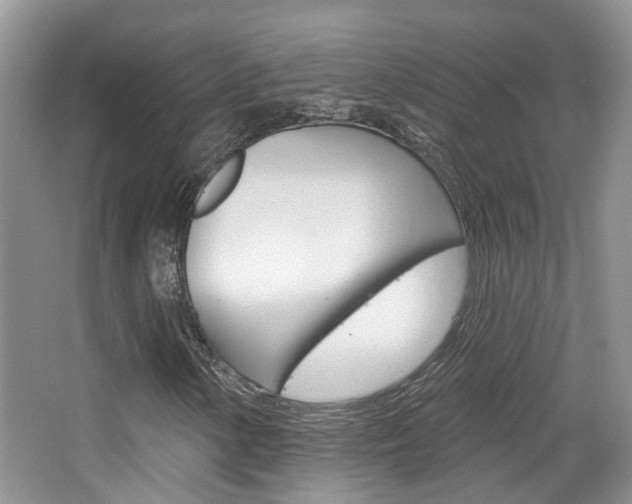 X0000065231154200602170920