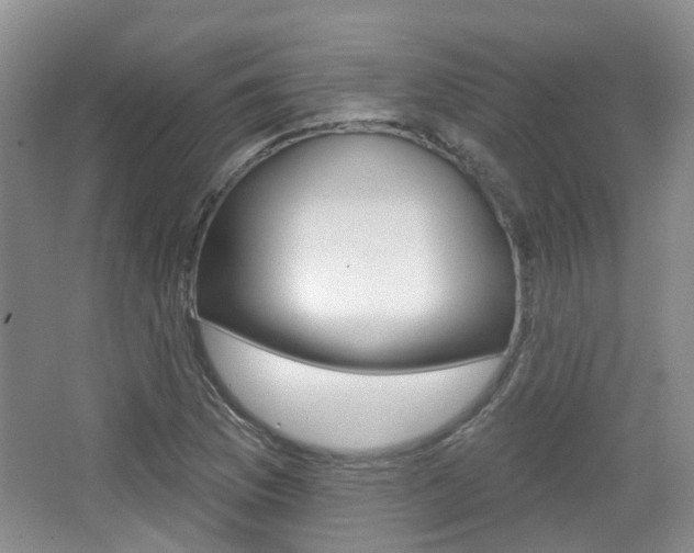 X0000065231169200602170920