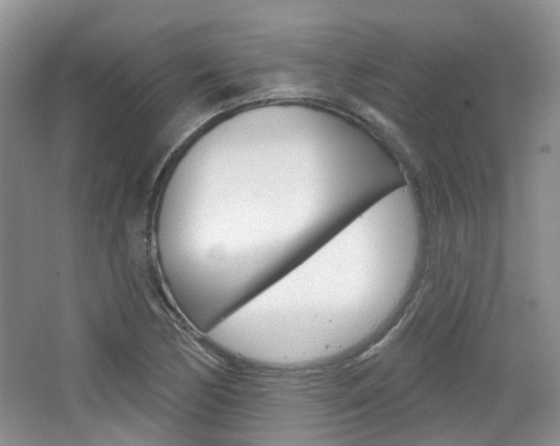 X0000065231170200602170920