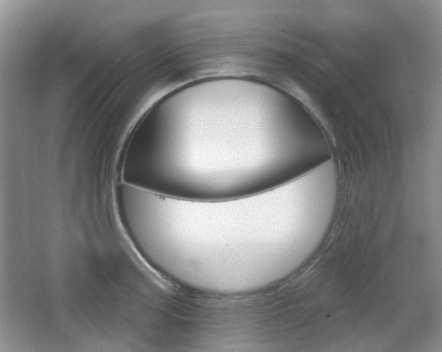 X0000065231187200602170920