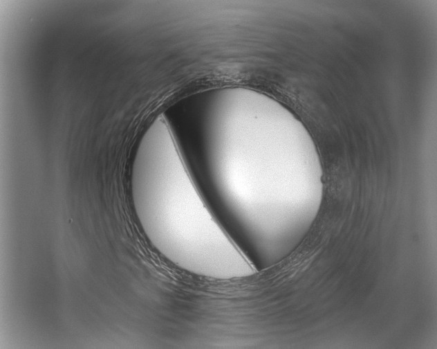 X0000065231201200602170919