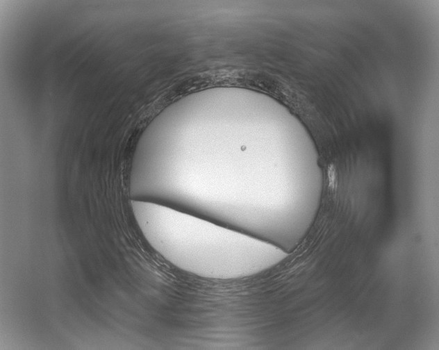 X0000065231203200602170919