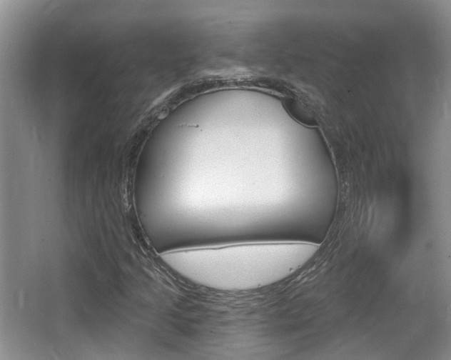 X0000065231205200602170919