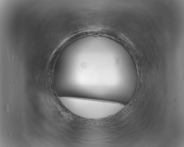 X0000065231208200602170919